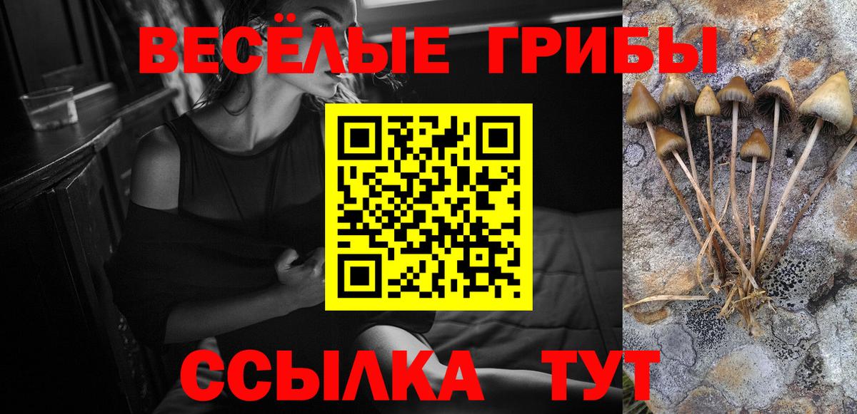 Псилоцибиновые грибы мухоморы Абакан
